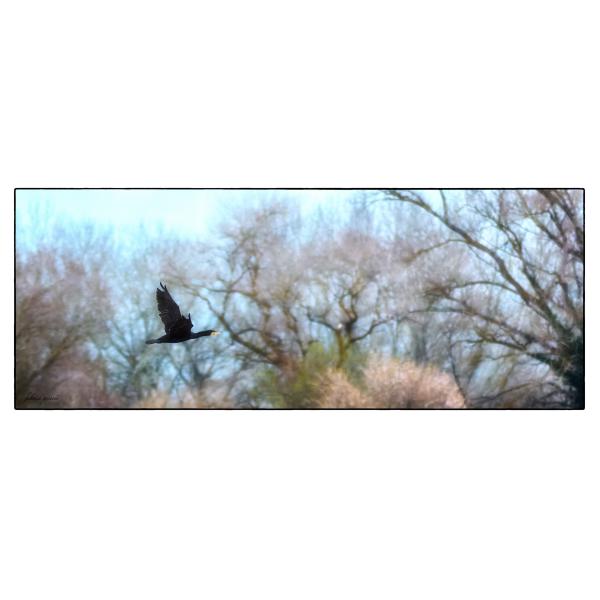 PHOTO84, CLUB, 84 , LUBERON